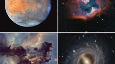 4 fotos de Hubble en el show de 35 cumpleaños Marte y Mysteries of Space 5 Mosaico