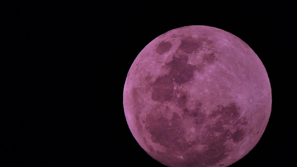 Abril ¿Pink Moon? Saber de dónde viene este nombre y que significa 5 BiaAurelio/CC-BY-S.A-4.0