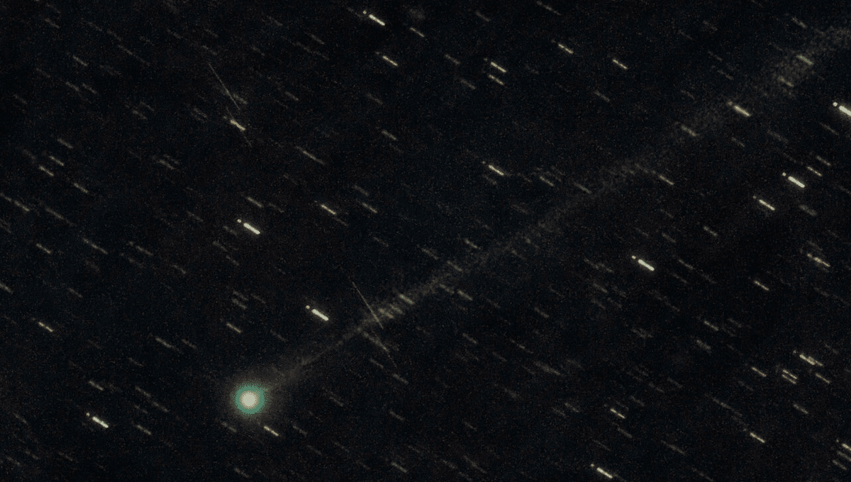 Menos de quince días después de que se descubrió este cometa que ya es visible en binoculares 5 Menos de quince días después de que se descubrió este cometa que ya es visible en binoculares
