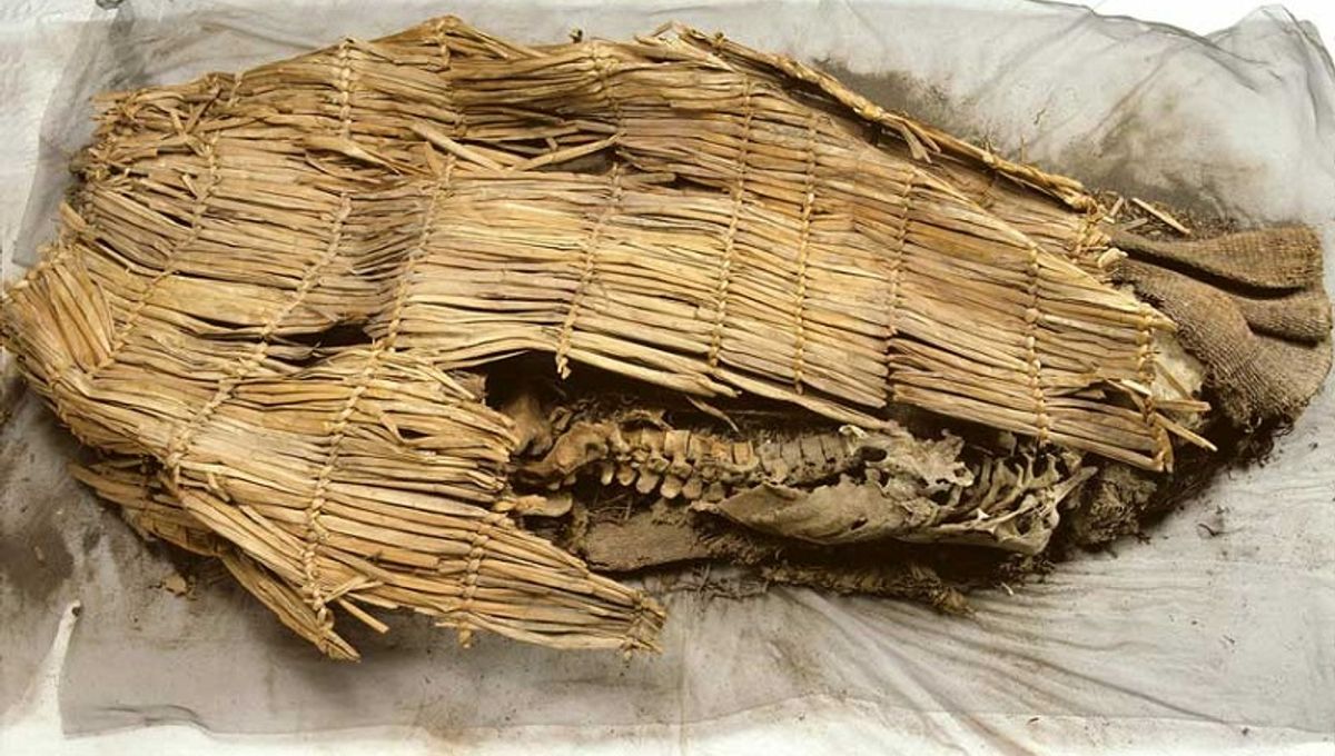 Spirit Cave Man: Cómo la momia más antigua del mundo reescribió 10,000 años de historia de los nativos americanos