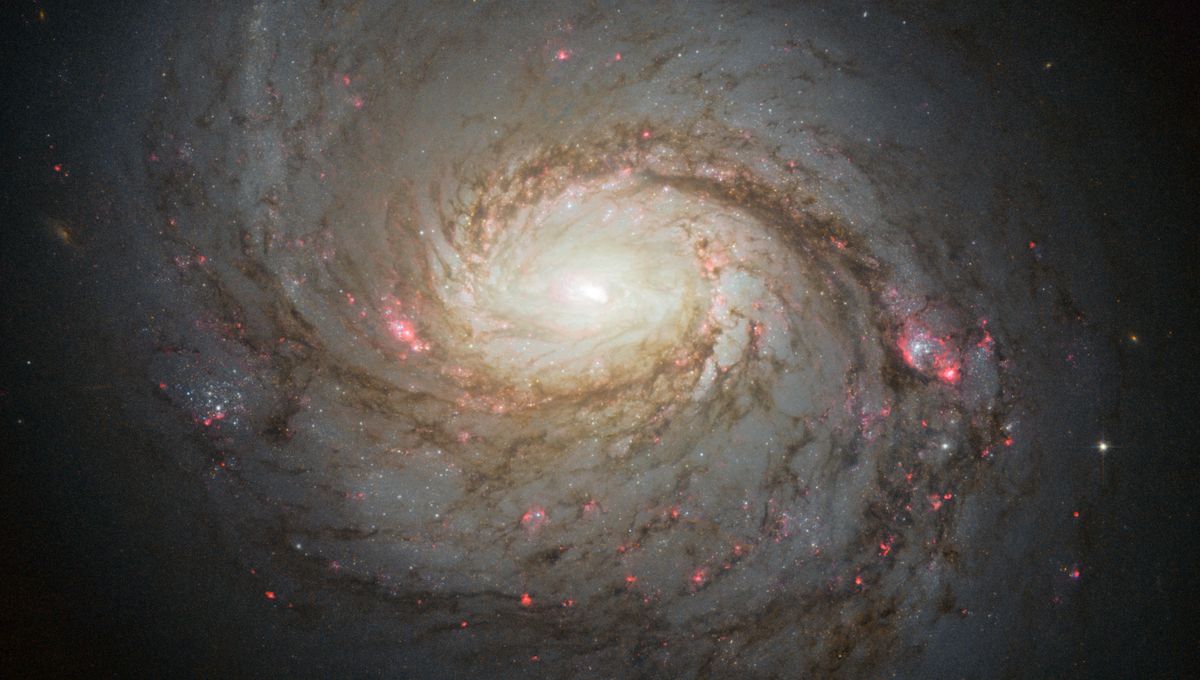 El núcleo extremo de Galaxy podría tener una fuente completamente nueva de partículas fantasmales