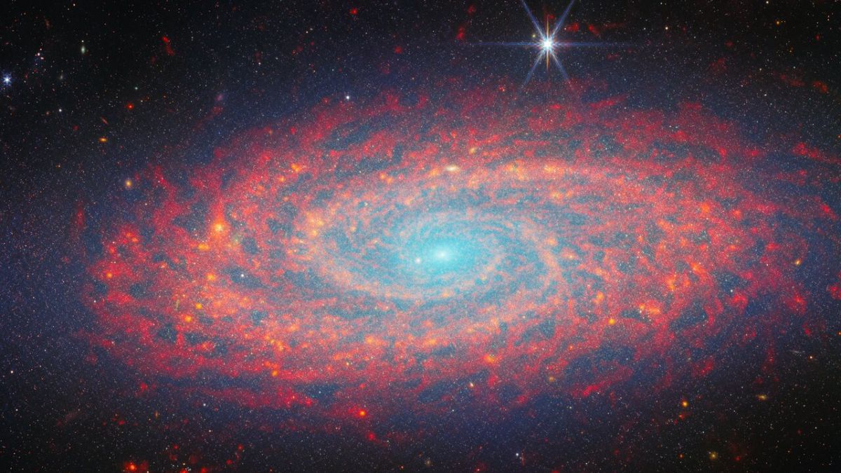 Galaxy Zoo | Ayuda a la NASA a clasificar las galaxias observadas por James Webb 5 ESA/Webb, NASA & CSA, A. Leroy