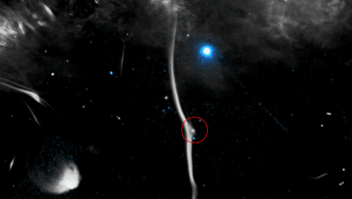 Los astrónomos encuentran una extraña señal de radio proveniente de la fractura en la "serpiente cósmica" de la Vía Láctea 5 Los astrónomos encuentran una extraña señal de radio proveniente de la fractura en la "serpiente cósmica" de la Vía Láctea